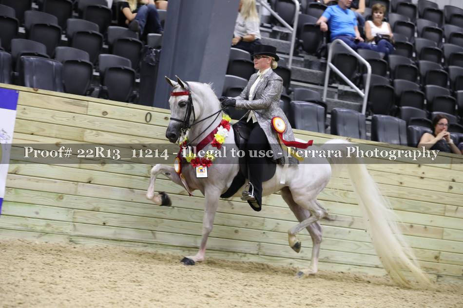 Proof 22R13_11214