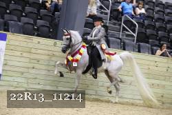 22R13_11214 proof