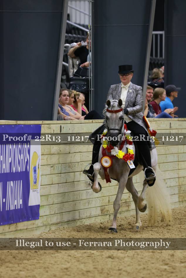 Proof 22R13_11217