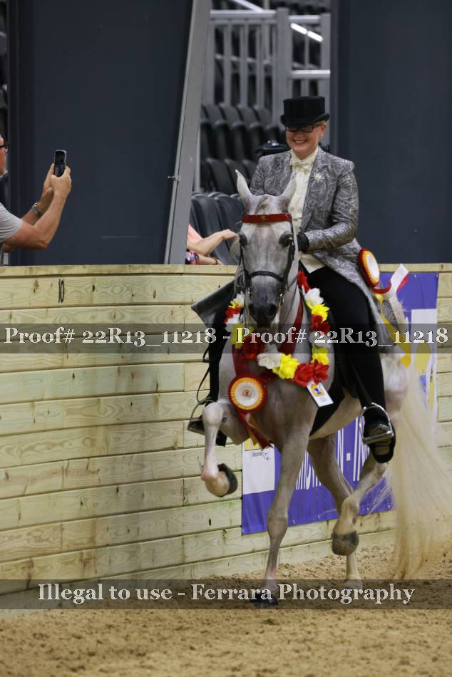 Proof 22R13_11218