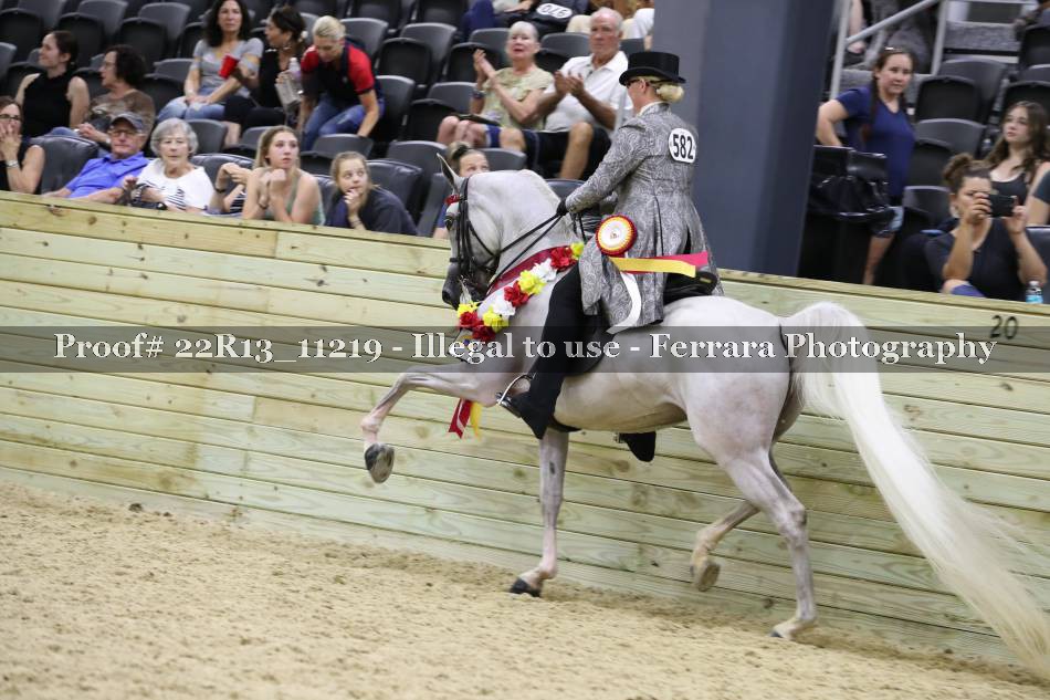 Proof 22R13_11219