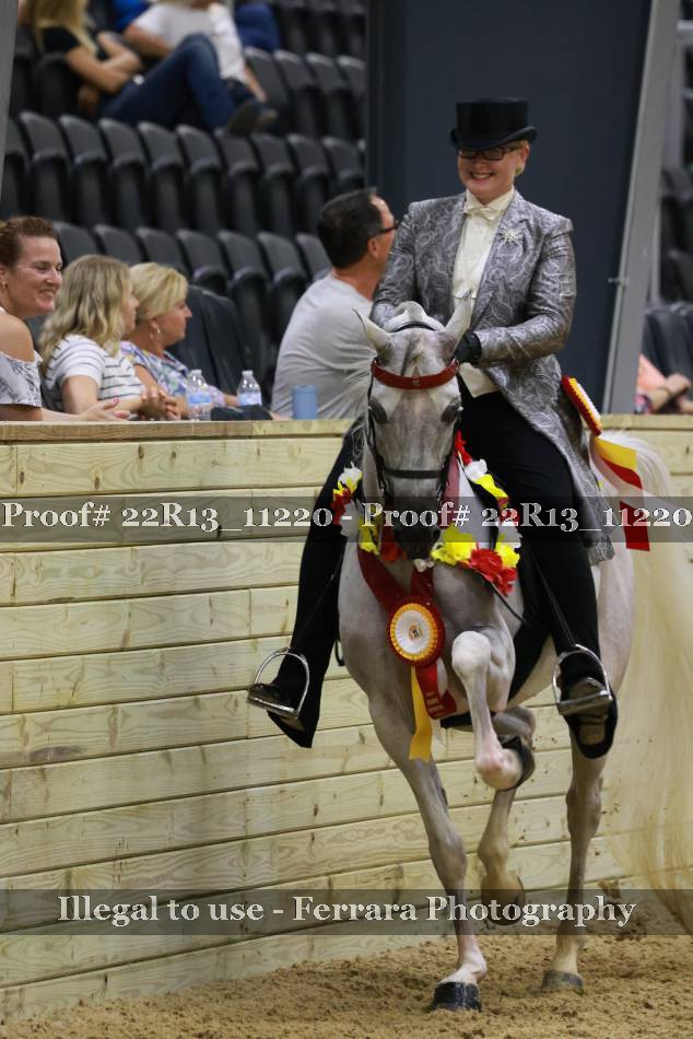 Proof 22R13_11220