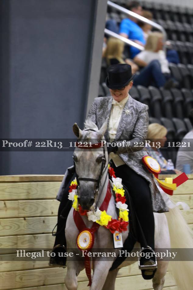 Proof 22R13_11221