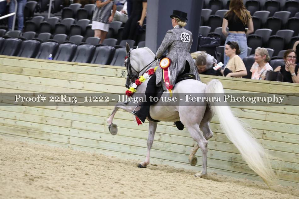Proof 22R13_11222