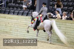 22R13_11222 proof