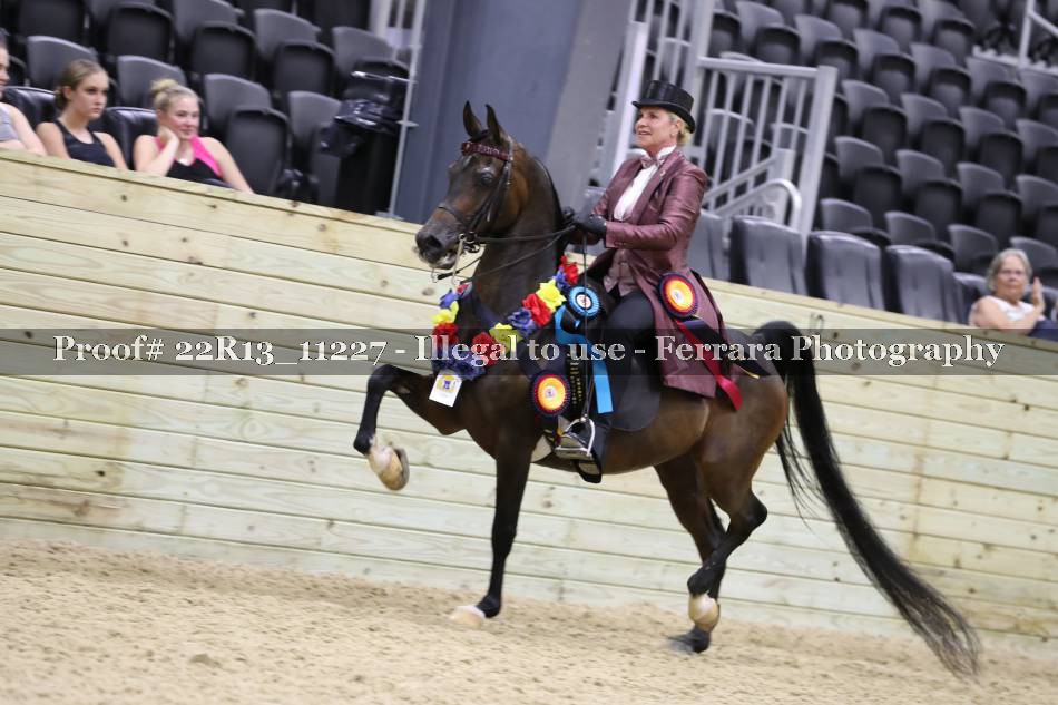 Proof 22R13_11227