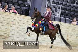 22R13_11227 proof