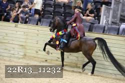 22R13_11232 proof
