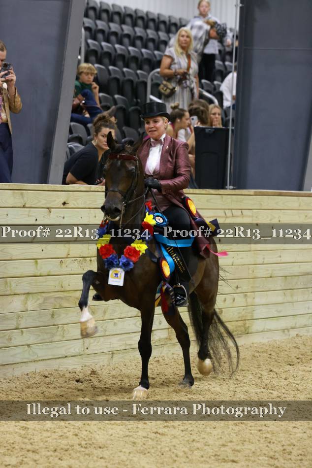 Proof 22R13_11234