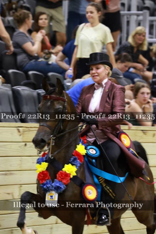 Proof 22R13_11235