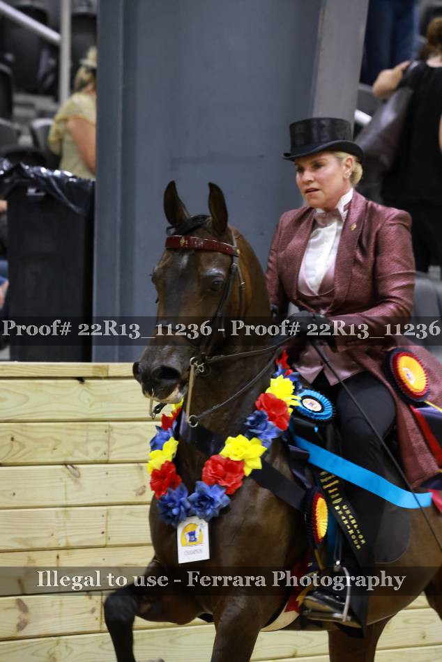Proof 22R13_11236