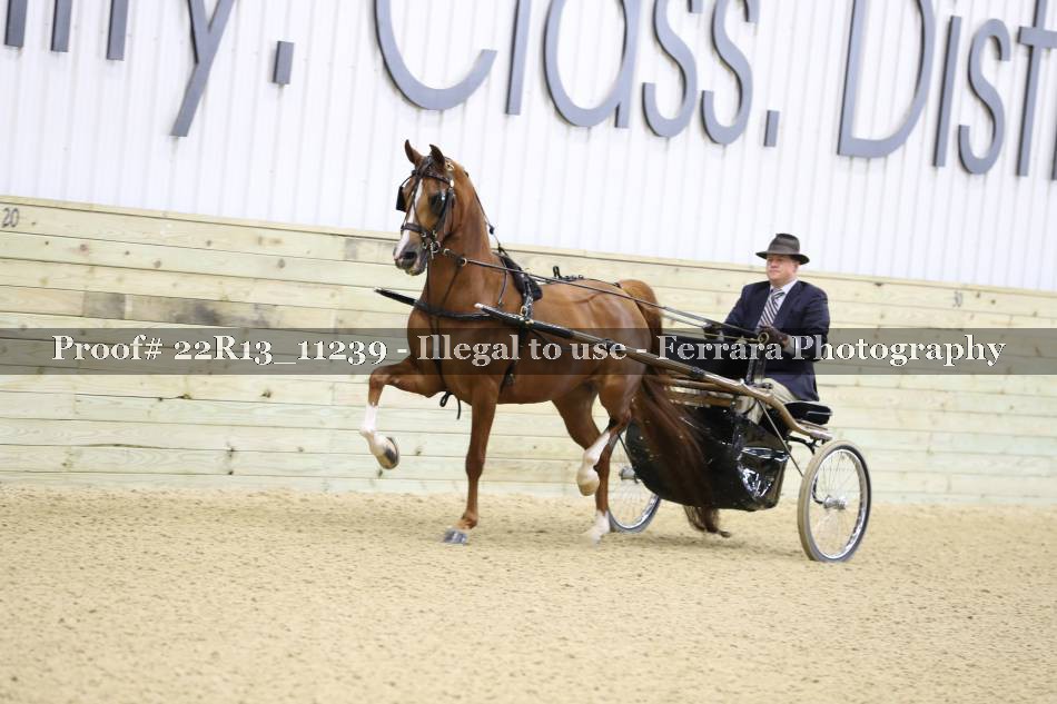 Proof 22R13_11239