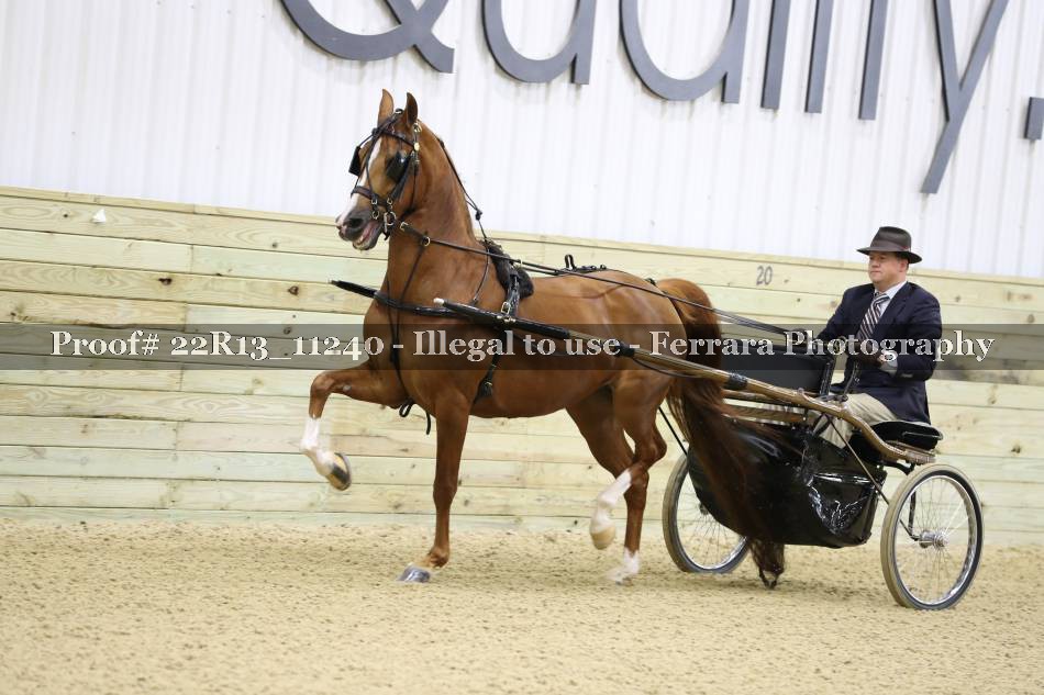 Proof 22R13_11240