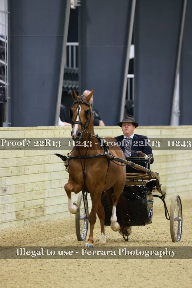 Proof 22R13_11243