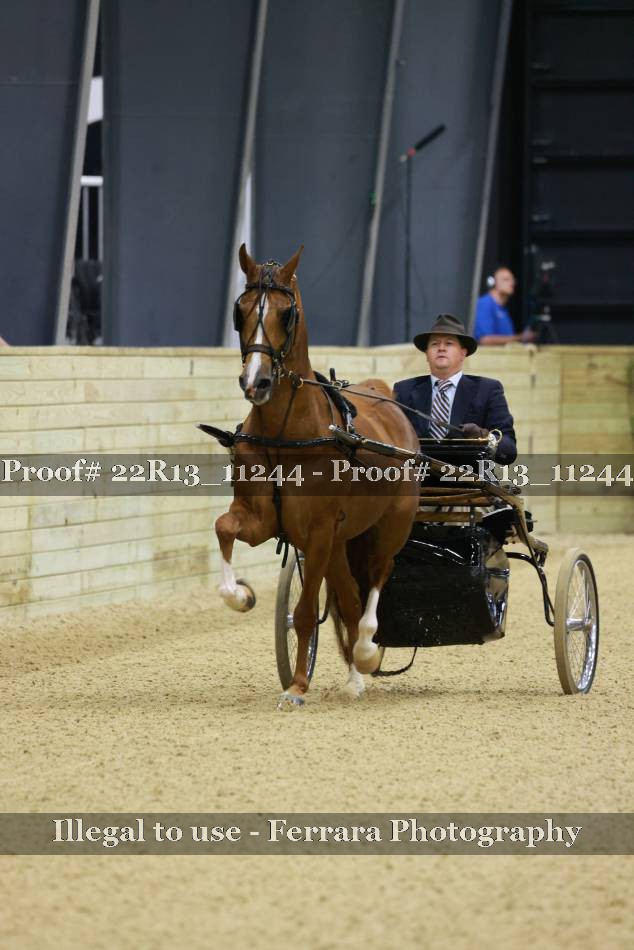 Proof 22R13_11244