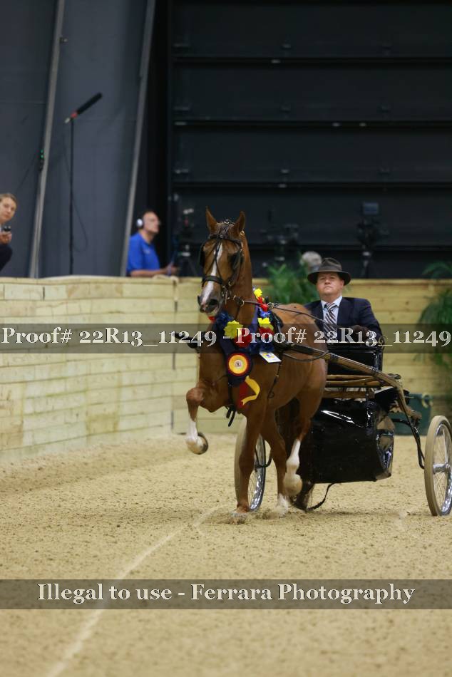 Proof 22R13_11249