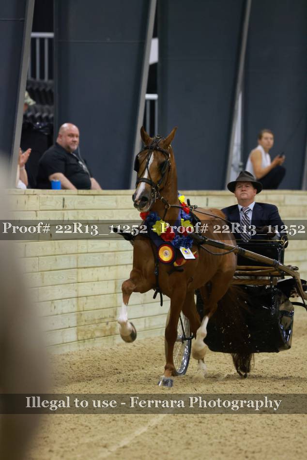 Proof 22R13_11252