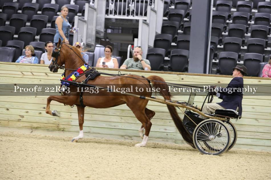 Proof 22R13_11253