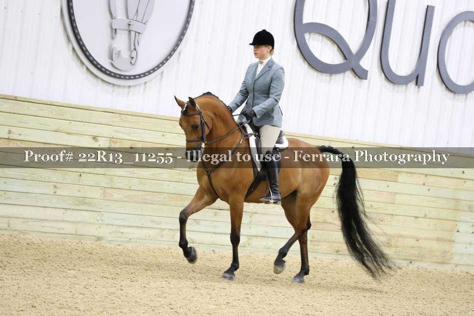 Proof 22R13_11255