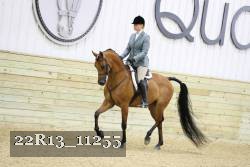 22R13_11255 proof