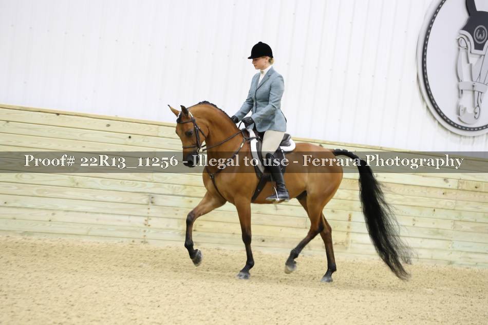 Proof 22R13_11256