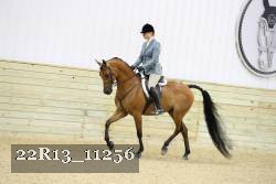 22R13_11256 proof