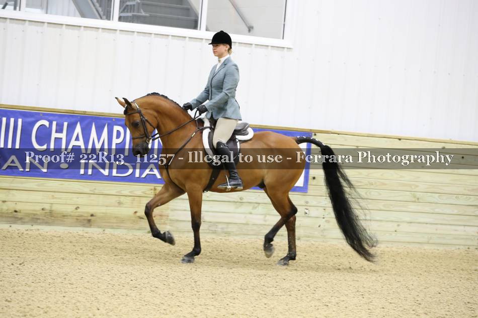 Proof 22R13_11257