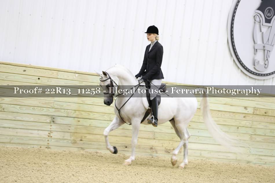 Proof 22R13_11258