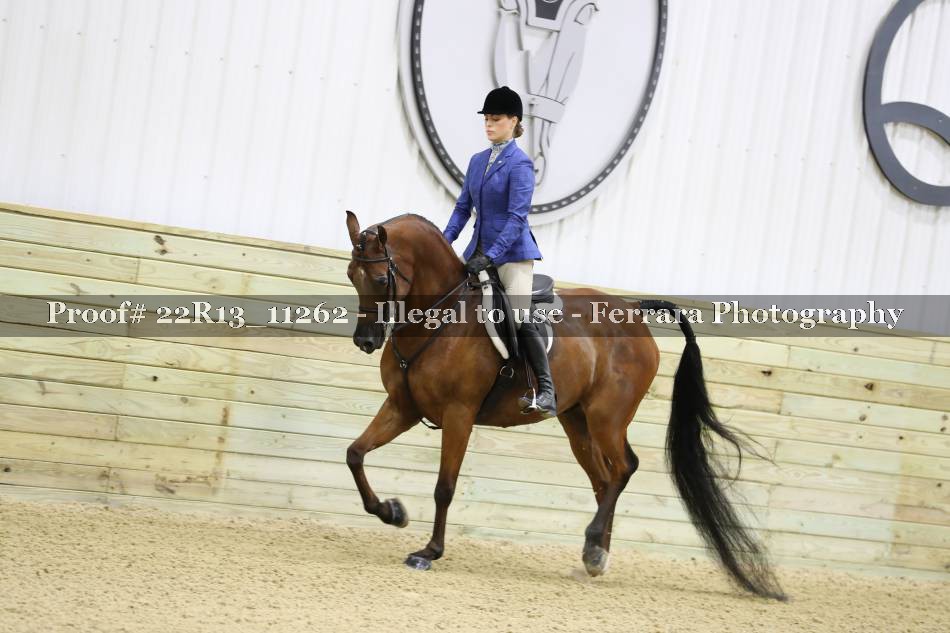 Proof 22R13_11262