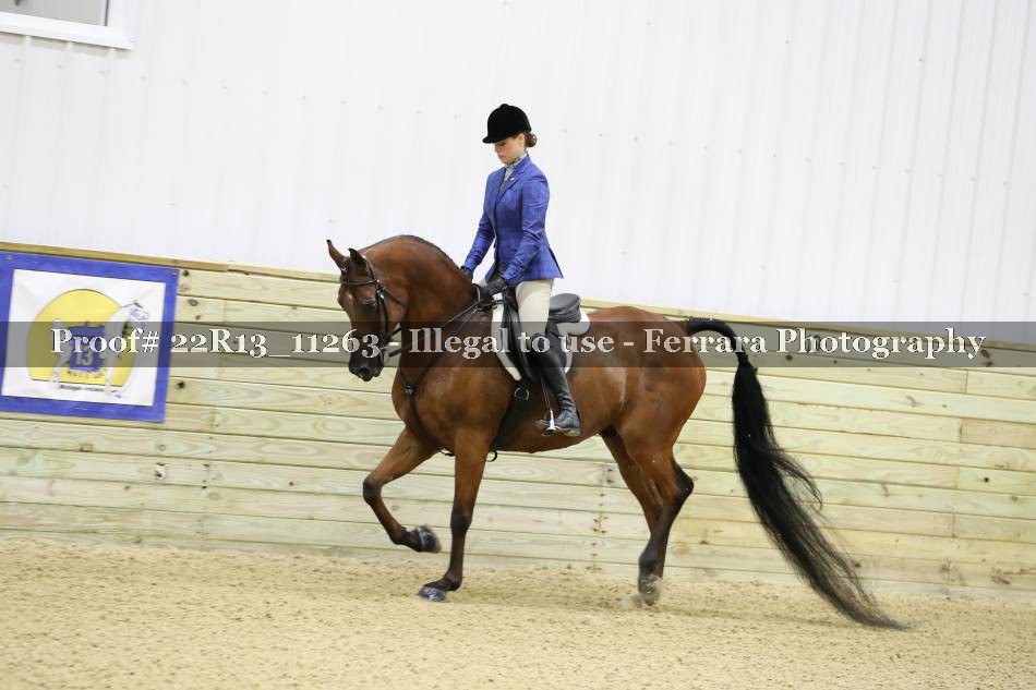 Proof 22R13_11263