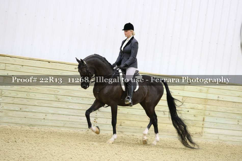 Proof 22R13_11268
