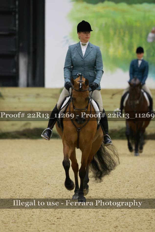 Proof 22R13_11269