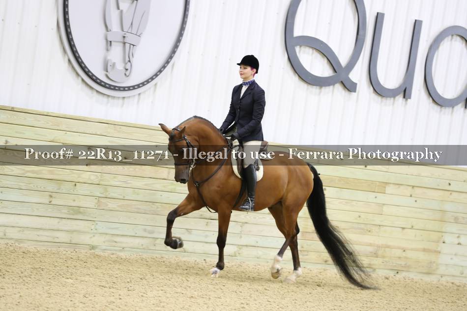 Proof 22R13_11271