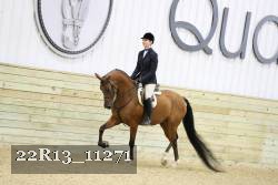 22R13_11271 proof