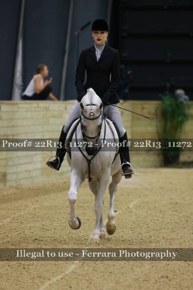 Proof 22R13_11272