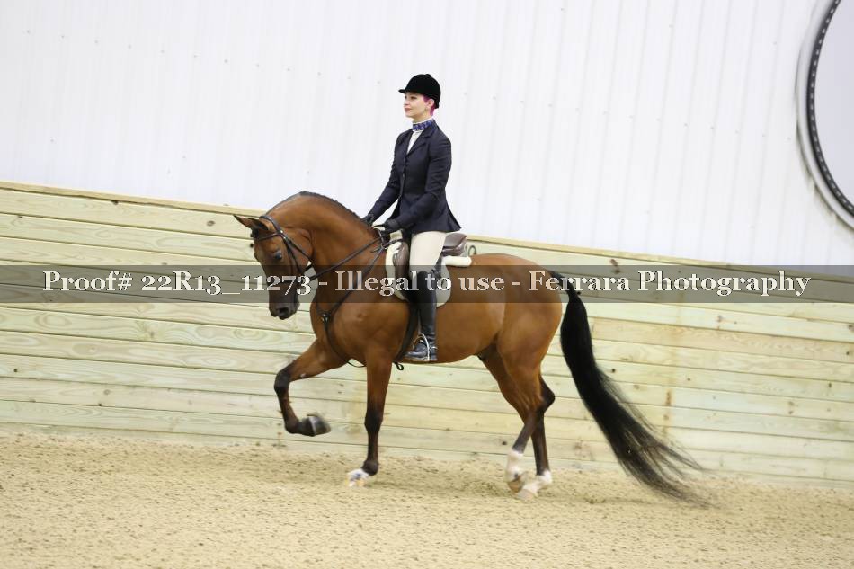 Proof 22R13_11273