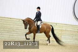 22R13_11273 proof