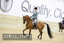 22R13_11275 proof