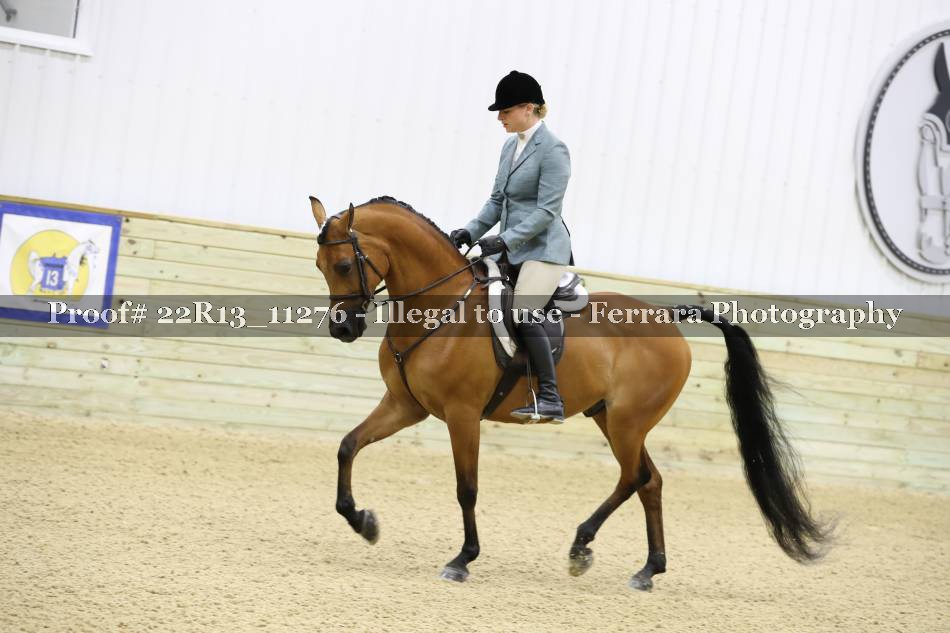 Proof 22R13_11276