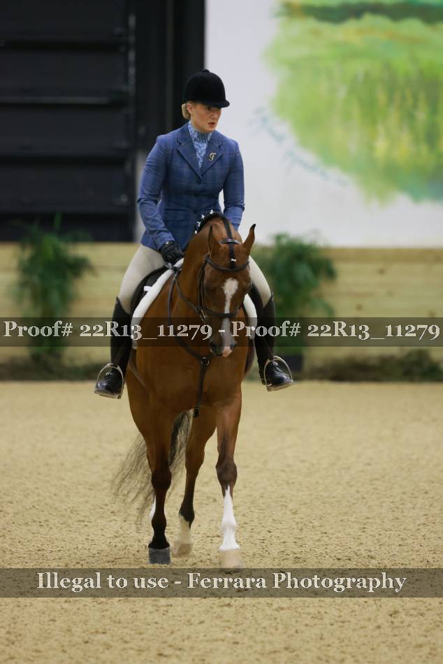 Proof 22R13_11279