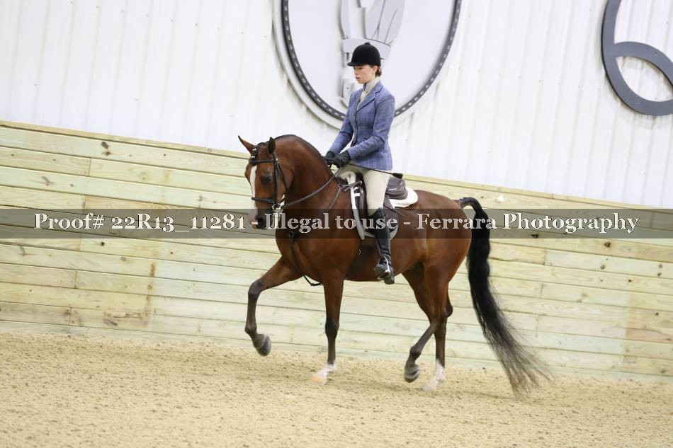 Proof 22R13_11281