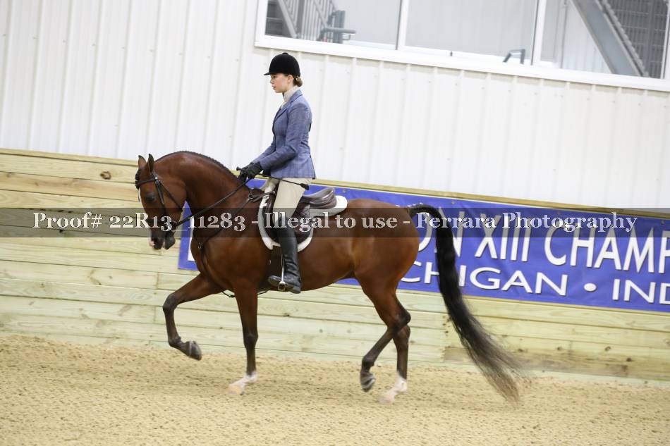 Proof 22R13_11283