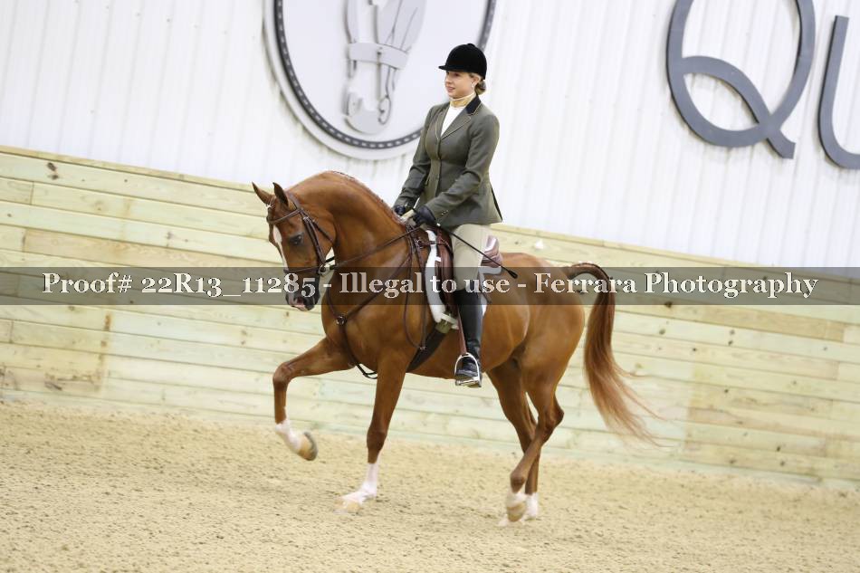 Proof 22R13_11285