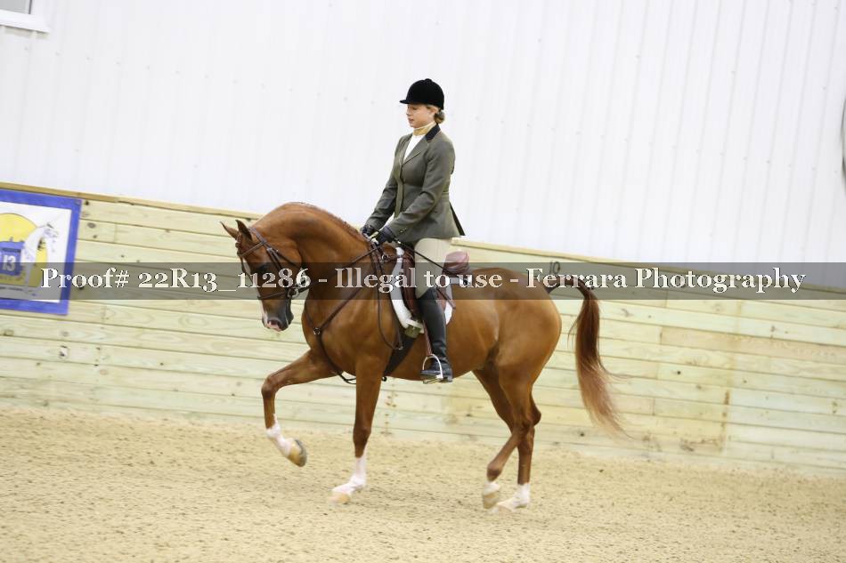 Proof 22R13_11286