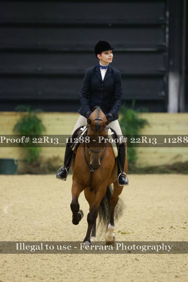 Proof 22R13_11288