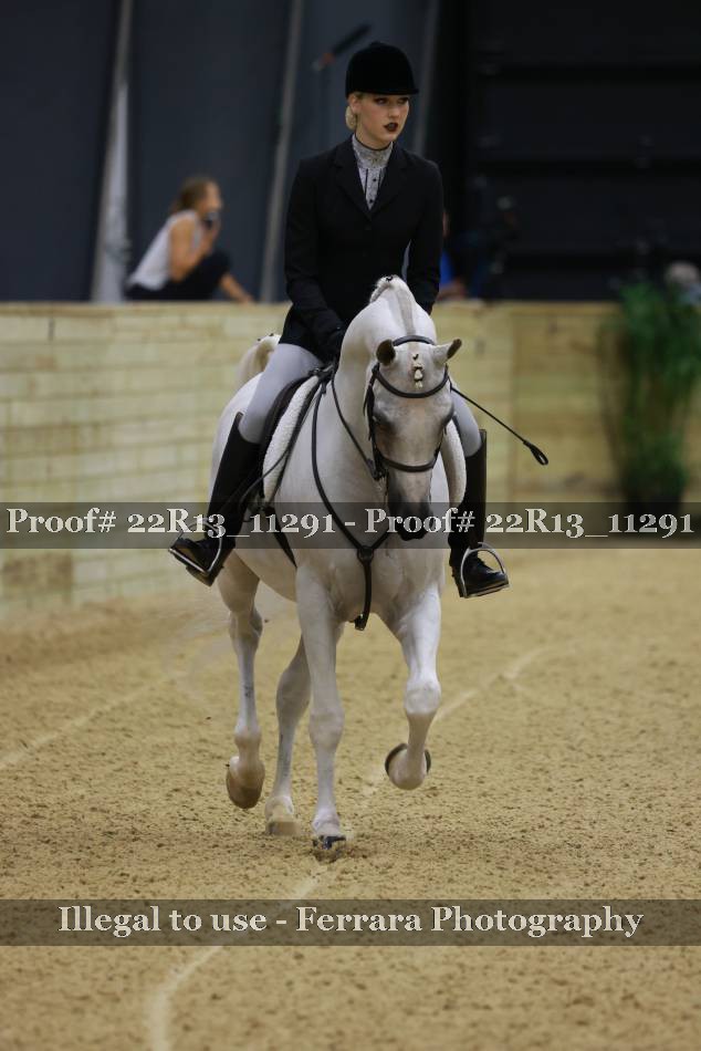Proof 22R13_11291