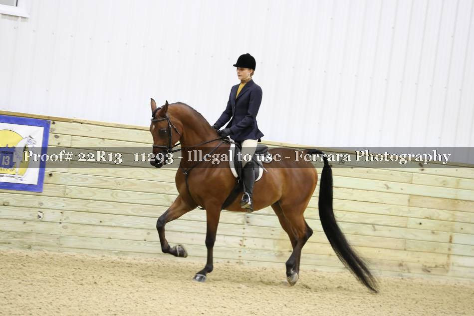 Proof 22R13_11293
