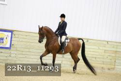 22R13_11293 proof