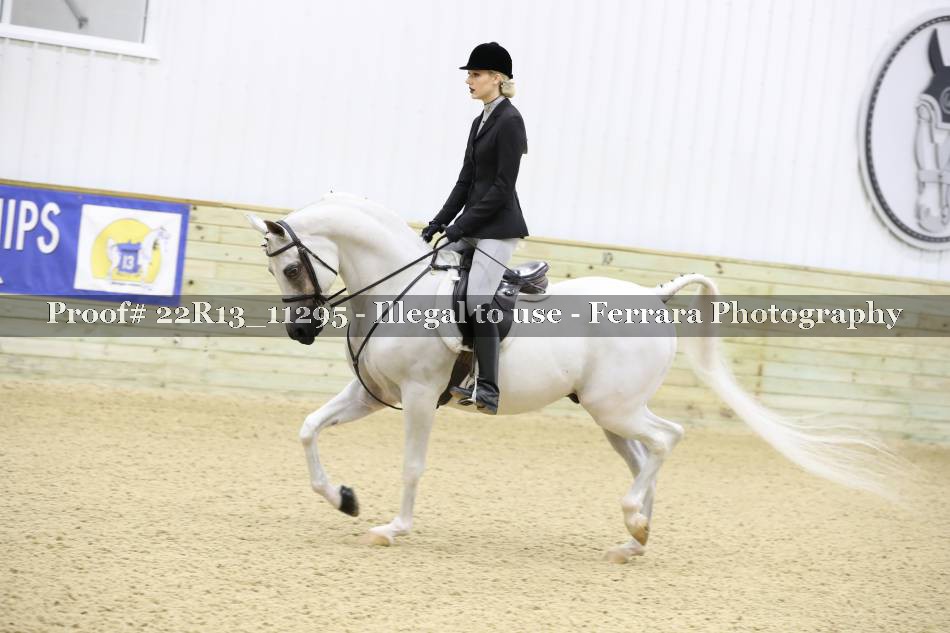 Proof 22R13_11295