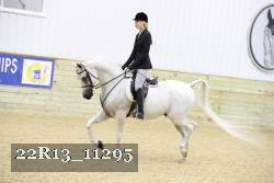 22R13_11295 proof